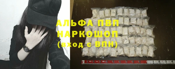 прущие крисы Бородино
