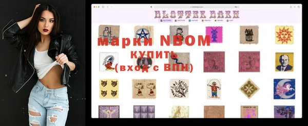 прущие крисы Бородино