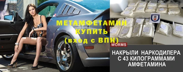 прущие крисы Бородино