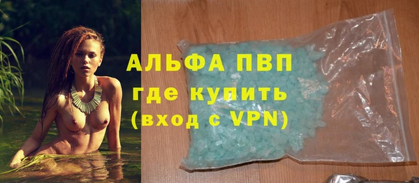 прущие крисы Бородино