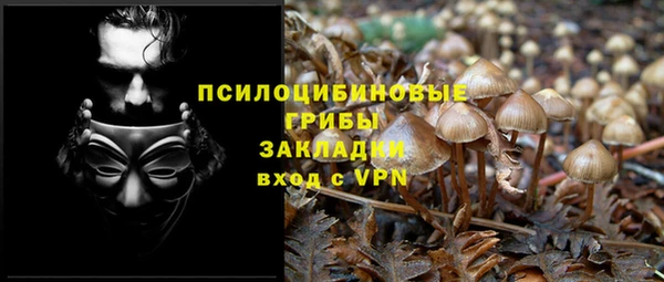 прущие крисы Бородино